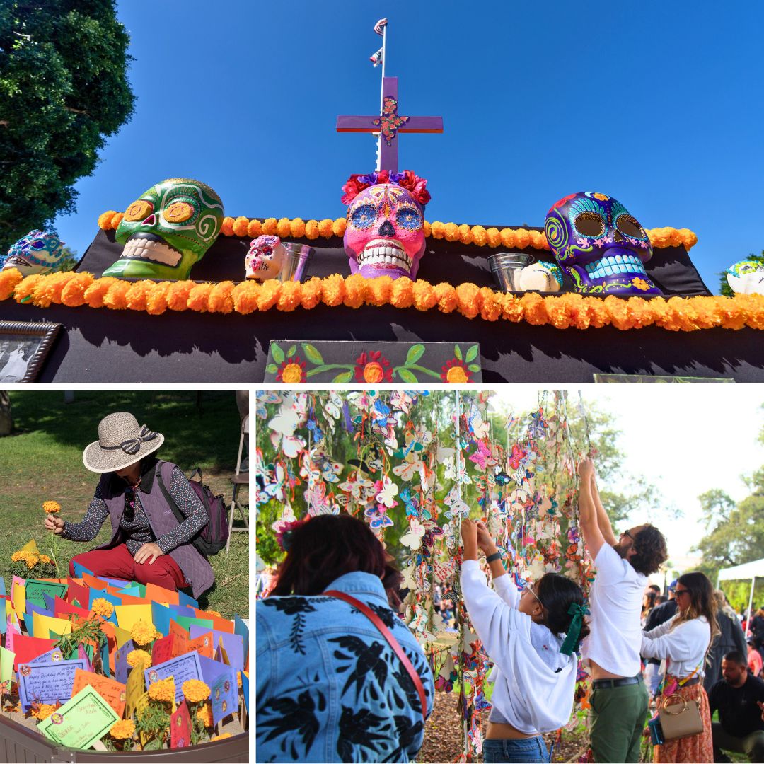 Dia de los Muertos celebrations from previous years.